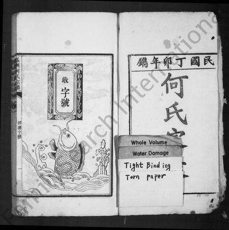 安徽何氏族谱-凤州何氏宗谱 [12卷].pdf电子版预览图2