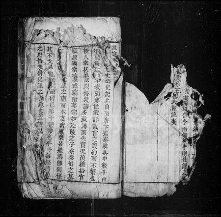 安徽王杨氏杨氏族谱-[王杨氏宗谱].pdf电子版预览图2