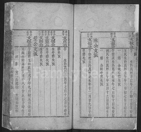 安徽魏氏族谱-魏氏宗谱 [残卷].pdf电子版预览图2