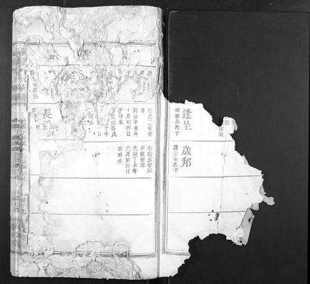 江西徐氏族谱-潢溪徐氏族谱.pdf电子版预览图2