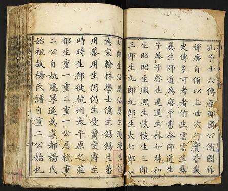 江西杨氏族谱-城南杨氏麟房族谱.pdf电子版预览图2