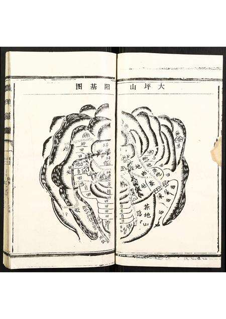 福建李氏族谱-李氏家谱.pdf电子版预览图2