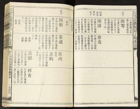 江西杨氏族谱-瑞金北关杨氏八修族谱.pdf电子版预览图2