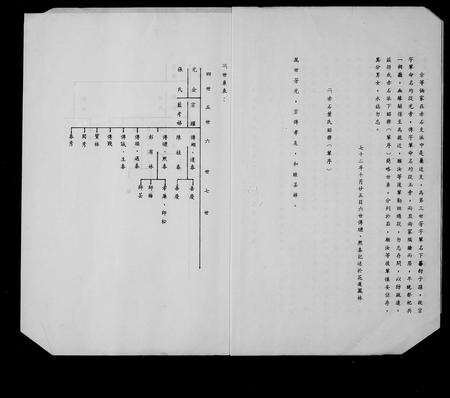 江西叶氏族谱-江西省大庾县新城赤石大叶屋叶氏简谱.pdf电子版预览图2