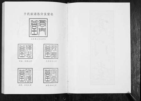 安徽于氏族谱-于氏家谱[不分卷].pdf电子版预览图2