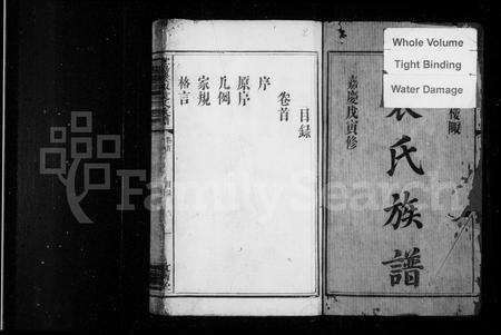 江西袁氏族谱-宜阳楼陬袁氏族谱 [2卷,首尾各1卷].pdf电子版预览图2