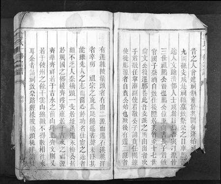 江西袁氏族谱-袁氏十修族谱[不分卷].pdf电子版预览图2