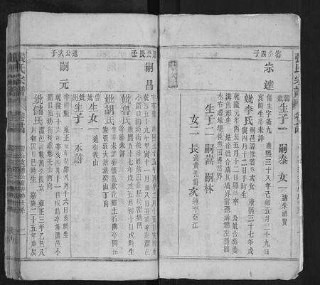 安徽张氏族谱-张氏宗谱.pdf电子版预览图2