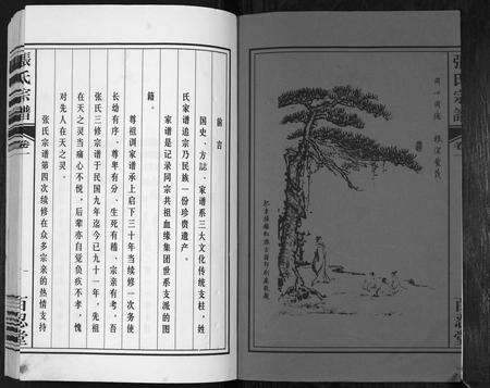 安徽张氏族谱-张氏宗谱.pdf电子版预览图2