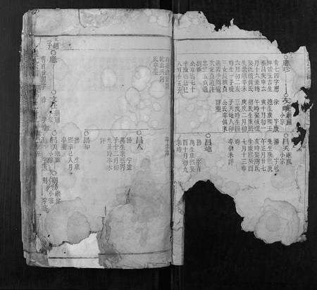 安徽张氏族谱-张氏宗谱.pdf电子版预览图2