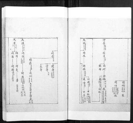 安徽张氏族谱-张氏宗谱[不分卷].pdf电子版预览图2