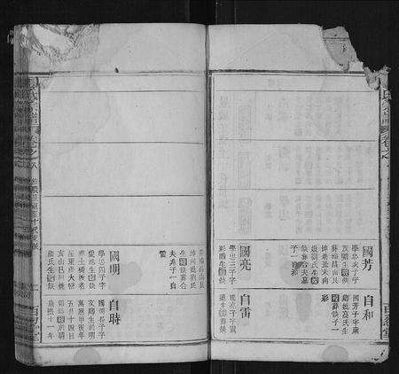 安徽张氏族谱-张氏宗谱[残卷].pdf电子版预览图2