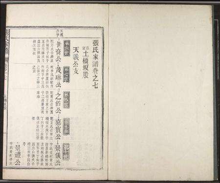 安徽张氏族谱-张氏家谱.pdf电子版预览图2