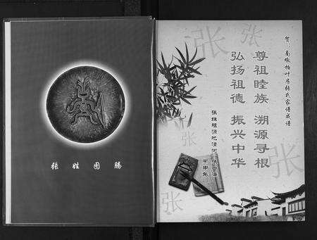 江西张氏族谱-南墩柏业房张氏家谱.pdf电子版预览图2