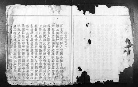 江西张氏族谱-南安四邑张续修族谱[不分卷].pdf电子版预览图2