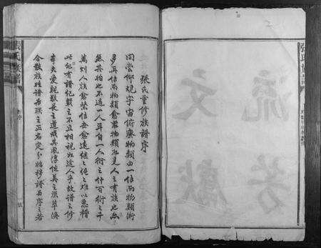 江西张氏族谱-张氏族谱.pdf电子版预览图2