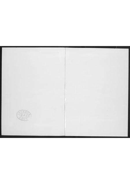 福建李氏族谱-芙蓉李氏族谱岭兜派系.pdf电子版预览图2