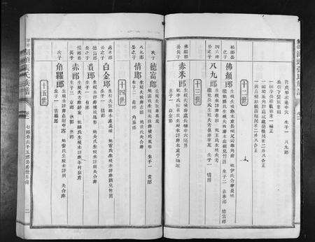 江西张氏族谱-甲申重修湖头张氏族谱[15卷].pdf电子版预览图2