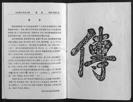 江西邹氏族谱-宜春萍乡邹氏支谱.pdf电子版预览图2