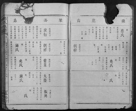 江西邹氏族谱-邹氏族谱.pdf电子版预览图2