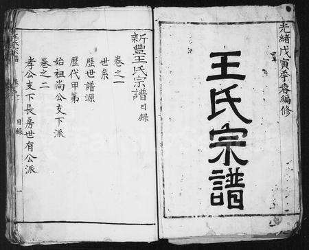 安徽王氏族谱-王氏宗谱 [4卷].pdf电子版预览图2