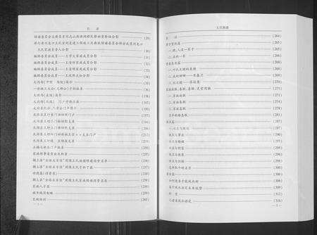 安徽王氏族谱-王氏族谱.pdf电子版预览图2