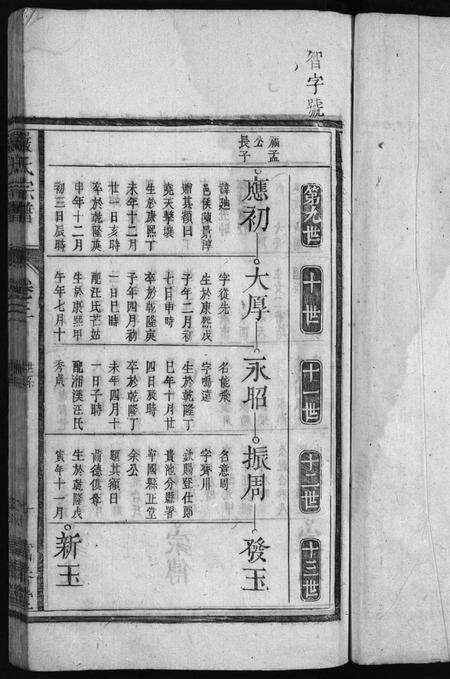 安徽严氏族谱-严氏宗谱[残卷].pdf电子版预览图2