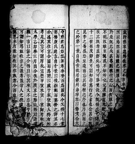 安徽杨氏族谱-新安芳溪杨氏宗支录(休宁芳溪杨氏宗支录).pdf电子版预览图2