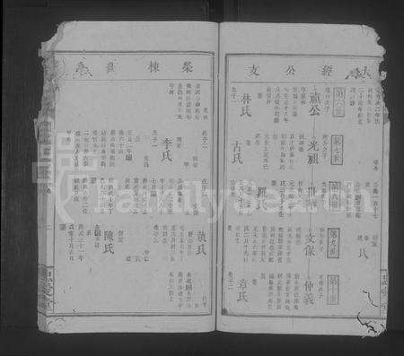 江西叶氏族谱-叶氏宗谱 [不分卷].pdf电子版预览图2