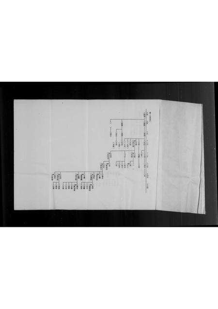 福建李氏族谱-泉州府双溪来台李氏家谱.pdf电子版预览图2