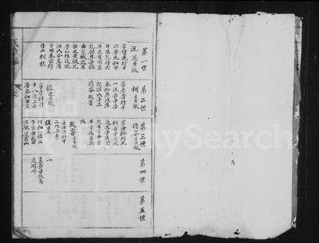 安徽俞氏族谱-俞氏草稿(龙溪俞氏家谱).pdf电子版预览图2