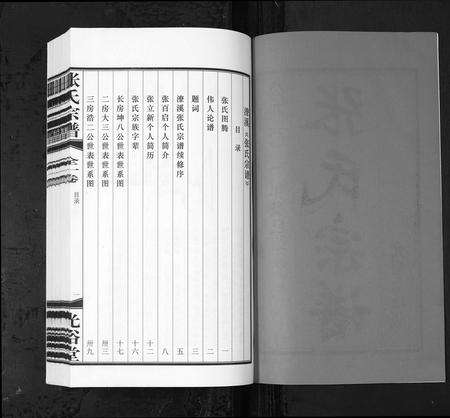 安徽张氏族谱-张氏宗谱 [全1卷](潦溪张氏宗谱).pdf电子版预览图2