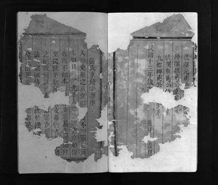 江西张氏族谱-张氏宗谱 [总卷数不详].pdf电子版预览图2