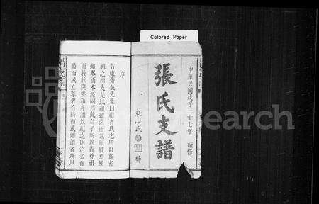 江西张氏族谱-张氏支谱 [4卷](凤门张氏支谱).pdf电子版预览图2