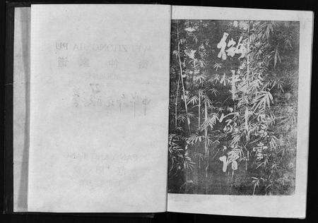 江西邹氏族谱-[邹氏]微仲家谱.pdf电子版预览图2