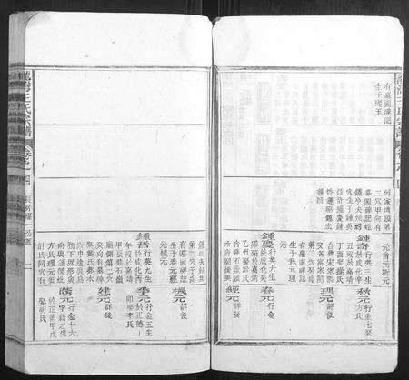 安徽王氏族谱-龙湾王氏宗谱.pdf电子版预览图2