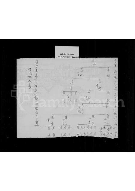 福建李氏族谱-李世世系表.pdf电子版预览图2
