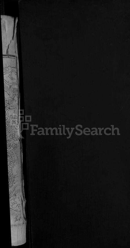 安徽王氏族谱-王氏宗谱 [16卷].pdf电子版预览图2