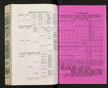 安徽吴氏族谱-吴氏宗谱.pdf电子版预览图2