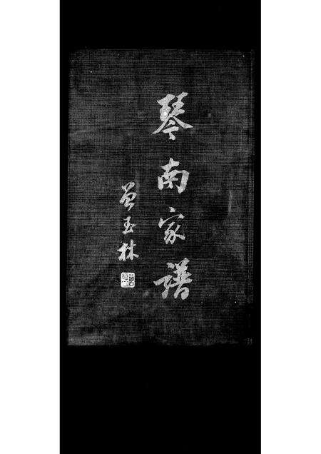 福建陈氏族谱-[陈氏]琴南家谱.pdf电子版预览图2