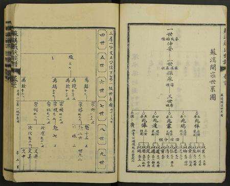 江西严氏族谱-苏溪严氏族谱 [20卷及卷首].pdf电子版预览图2