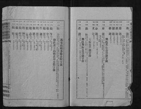 江西严氏族谱-严氏合修族谱.pdf电子版预览图2