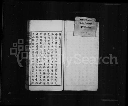 安徽杨氏族谱-芜湖杨氏宗谱.pdf电子版预览图2