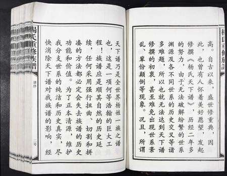 江西杨氏族谱-杨氏重修族谱[不分卷].pdf电子版预览图2