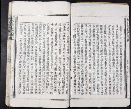 江西杨氏族谱-杨氏重修族谱[不分卷].pdf电子版预览图2