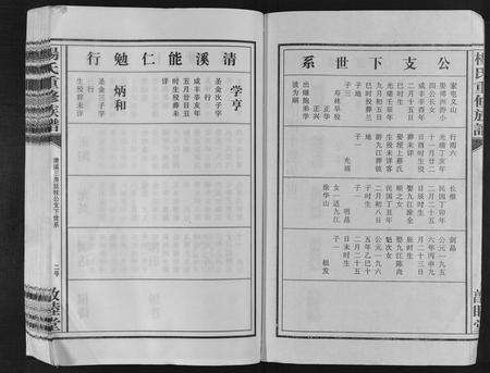 江西杨氏族谱-杨氏重修族谱[不分卷].pdf电子版预览图2