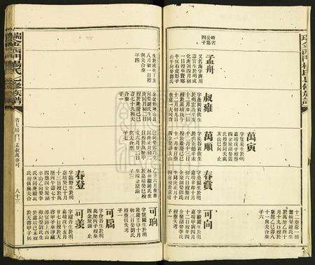 江西杨氏族谱-瑞金西门杨氏七修族谱.pdf电子版预览图2