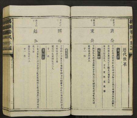 江西杨氏族谱-桥头杨氏族谱 [不分卷].pdf电子版预览图2