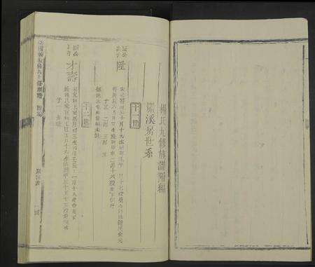 江西杨氏族谱-兴国福岭杨氏十修族谱[11本].pdf电子版预览图2