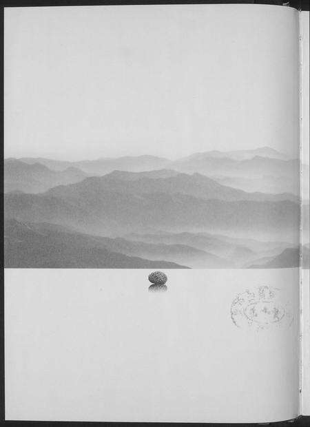 江西姚氏族谱-南昌姚氏族谱.pdf电子版预览图2